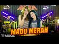 ARLIDA PUTRI FEAT. DIKE SABRINA - MADU MERAH (Official Live Music Video)