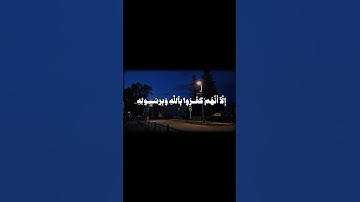 ايات من سورة التوبة بصوت الشيخ خليفة الطنيجي | تلاوة خاشعة وهادئه