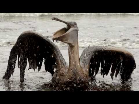 Black Tears:  The saddest video in the world - BP killed the planet - 2 years out and still dying