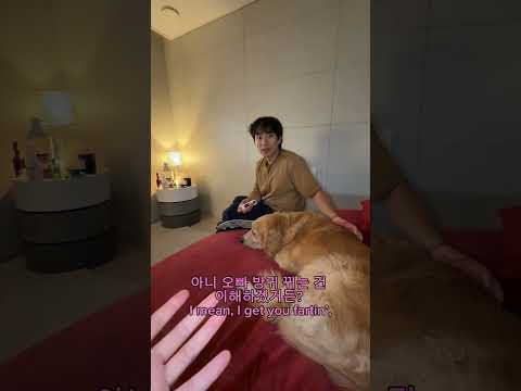 대형견 방구소리 thumbnail