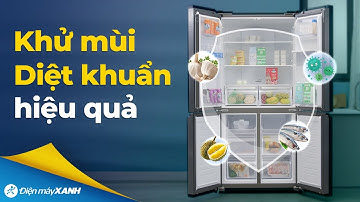 Chiếc TỦ LẠNH có khả năng bảo quản tốt thức ăn nhờ công nghệ khử mùi, diệt khuẩn hiệu quả