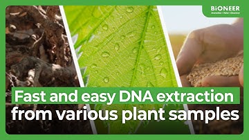 Simplifying diverse samples – Plant DNA extraction solution!