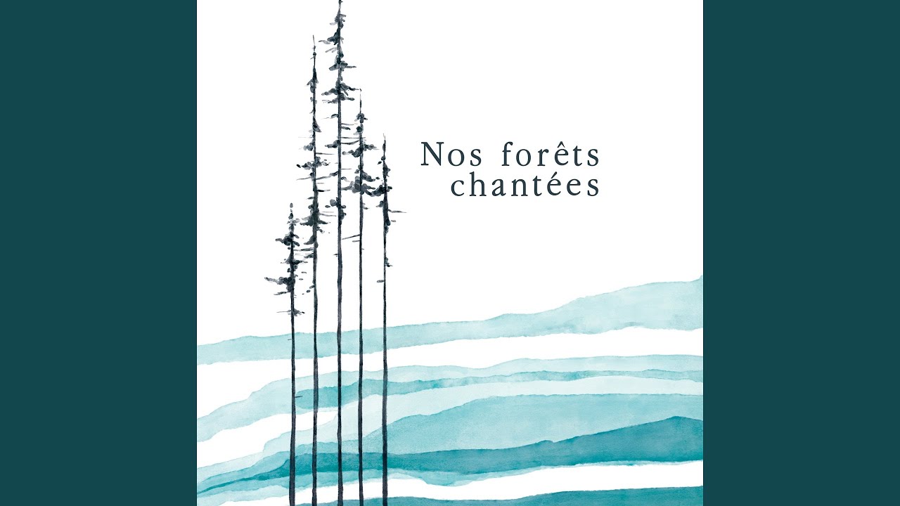 Guarda Saint-Sauveur su YouTube Guarda Saint-Sauveur su YouTube