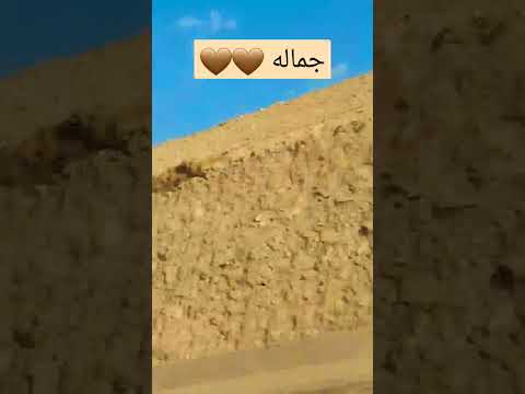 الله على جماله عمرو دياب