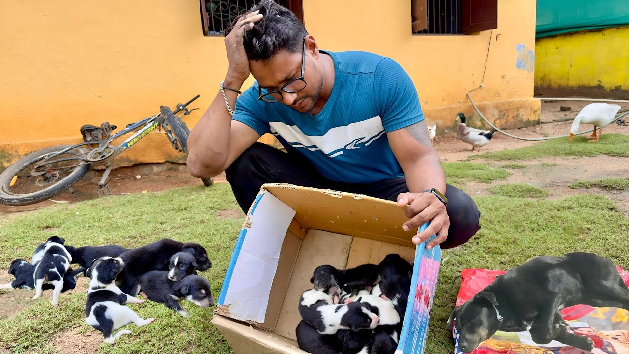 ଛୁଆମାନେ ଜଗିଛନ୍ତି କ୍ଷୀର ଖାଇବ ମା ମରି ପଡ଼ିଛି ରାସ୍ତାରେ 😭😭😭 