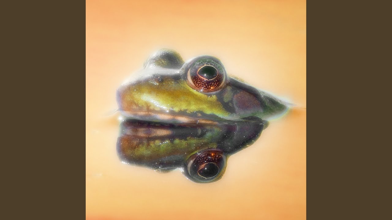 Смотреть «Affirmation Practice» на YouTube Смотреть «Affirmation Practice» на YouTube