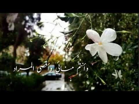 سكنتم فؤادي ورب العباد