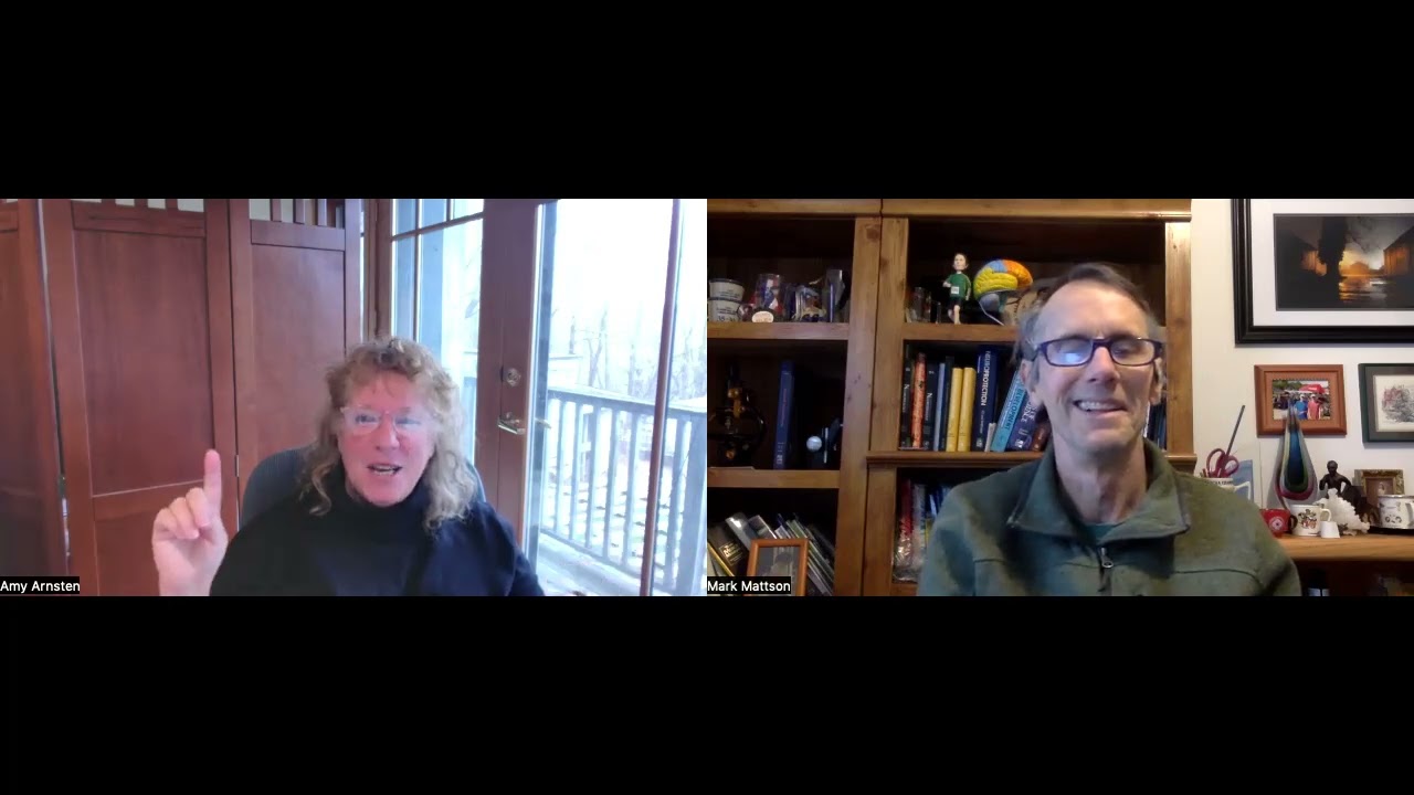 Keeping on Task: The Prefrontal Cortex in Health and Disease with Amy Arnsten