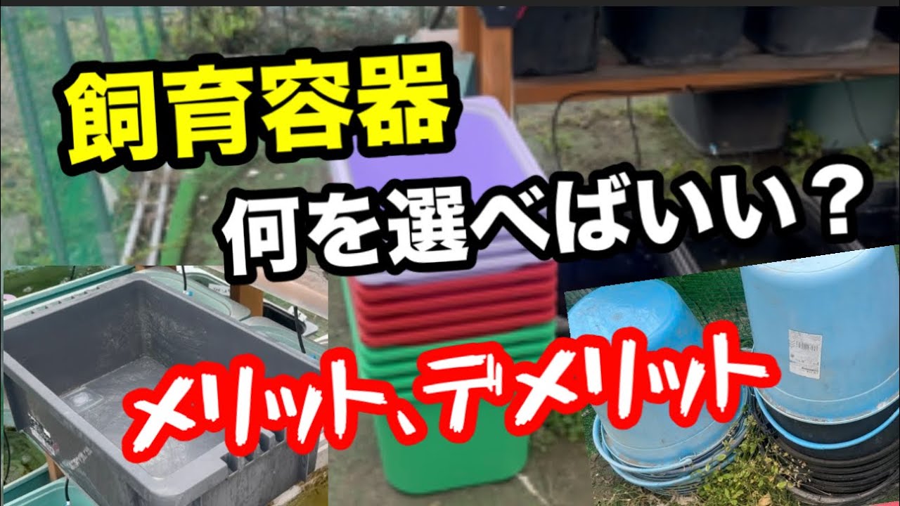 Choose the Right Container for Your Space and Purpose! #Medaka