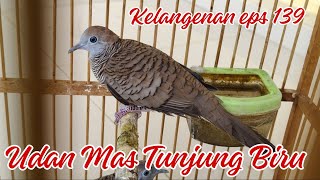 Udan Mas Tunjung Biru Kelangenan Eps 139