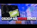 SEMI - RAGE В ПРЕМЬЕРЕ С ЧИТОМ (MEMESENSE)