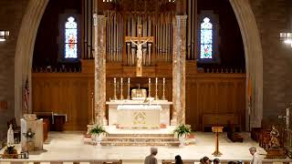 10:30AM CELEBRATION OF THE HOLY MASS June 14, 2026