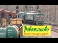 Пропуск поезда по Новожаново |  Freight trains on Novozhanove station