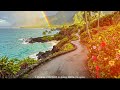 "POV: Your Dream Cycling Journey 🚲🌈"