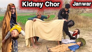 Kidney Chor Janwar New Funny Video 2024 by Tuti Gull Official