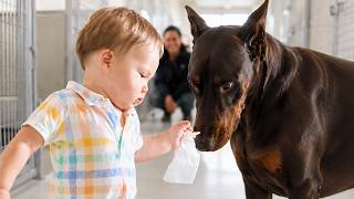 This 95lb Doberman REFUSES to Let the Baby Out of His Sight—What He Did at 2AM Stunned Everyone