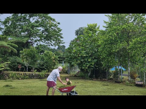 Family Land Clean Up - Samoa