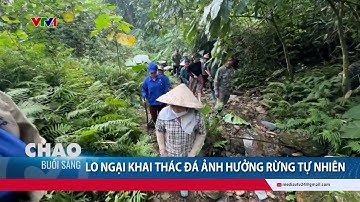 Phú Thọ: Người dân lo ngại khai thác đá ảnh hưởng đến rừng tự nhiên | VTV24