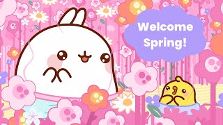 Celebrate SPRING with Molang and Piu Piu🌺| NEW EPISODES | SEASON 4 | Funny Compilation For Kids