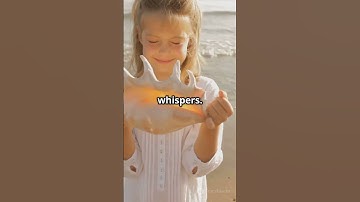 The Secret Behind Seashell Sounds!🌊🐚