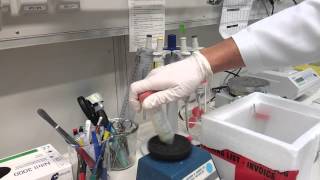 High throughput sampling of plant material