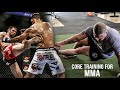 Try These Core Exercises For MMA