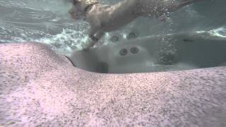 Jack Russell Terrier learning to dive to the bottom of the pool