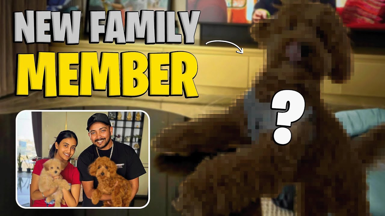 New Family member Added 🙈❤️ #scoobydoobydoo 