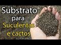 Como preparar substrato para suculentas e cactos substrato