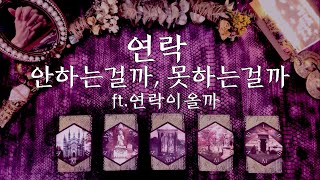 [타로] [속마음] 연락이올까?! /연락, 안하는걸까 못하는걸까 Pick a Card