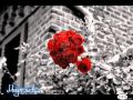 وائل كفوري - الورد الاحمر