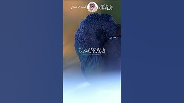 الشيخ ماهر المعيقلي  #اكسبلور #قرآن #explore #لايك #قران_راحة_نفسية #قران_كريم #سورة_الملك