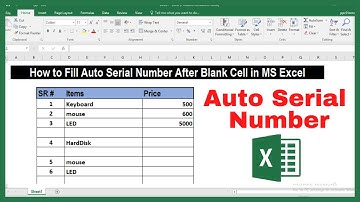 Auto Fill Serial Number after Blank Cell in MS Excel || Insert Auto Serial Number || Elesson Info