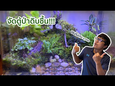 จัดตู้ป่าดิบชื้น Paludarium tank - ม้าน้อยกลอยใจ EP 2