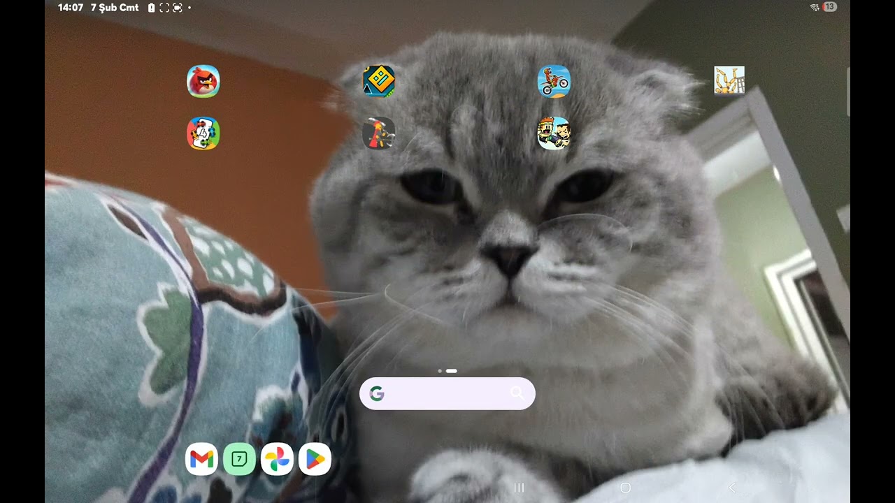 Melon sandbox hediyelerden çıkan parayla aldığım eşyaları gösteriyorum