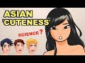 Why Asians Are Supposedly 'Cuter' (Scientific Breakdown)