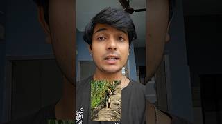 Supreme Court New Verdict For Stray Dogs