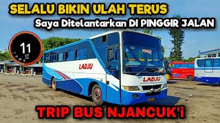 'BUS JANCUK !! SAYA DITELANTARKAN DI PINGGIR JALAN 😡' | Trip Report Kusut naik Bus LADJU Bumel