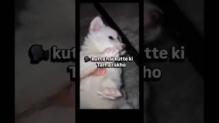 Dog Lovers Will Understand This 💔🐶 #RespectAnimals #puppy #leo #cutedog #viral #ytshorts #fyp #funny