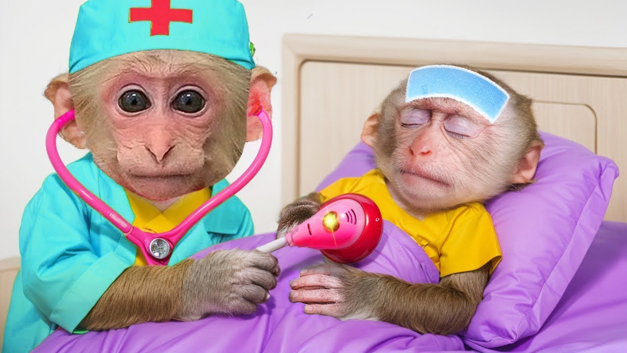 Monkey BoBo Challenge to be a Doctor to Rescue and Take care of Duckling | SMART BOBO MONKEY