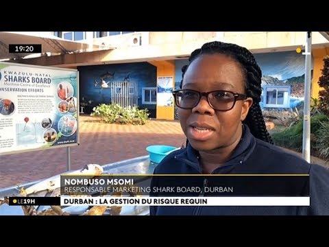afrique du sud population Afrique du Sud : gestion du #RisqueRequin à Durban - 13/06/2019
