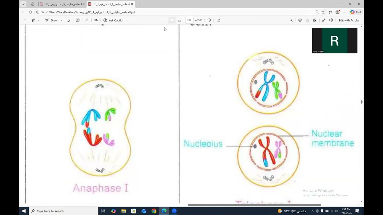 Unit 4 lesson 1 , part 3, ثالثه اعدادى 