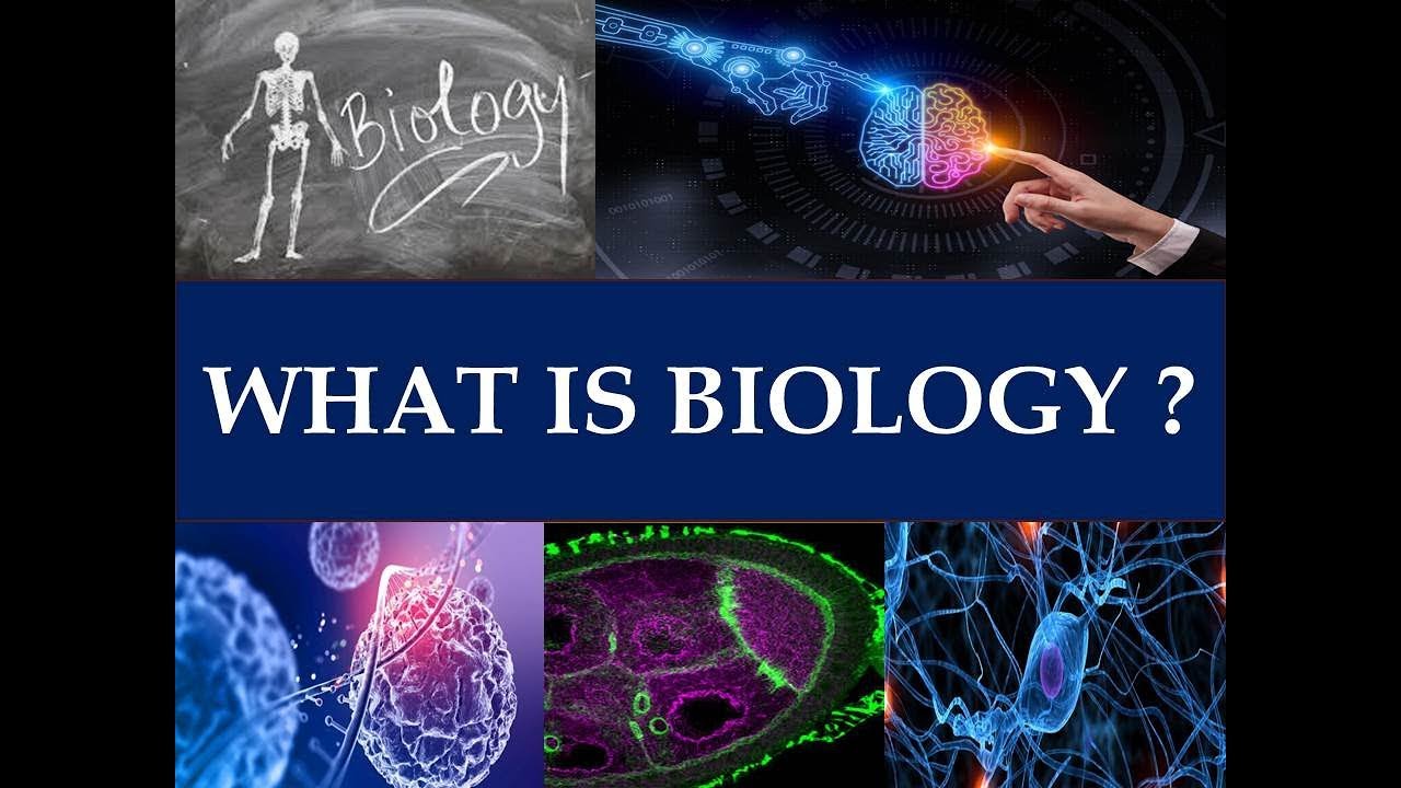 what is the definition of biography in biology