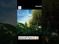 follow me 🙏🏻 #iphone17pro