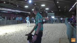 American Dorper Sheep Breeders Society Live Stream