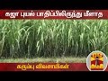 New video by Thanthi TV on YouTube