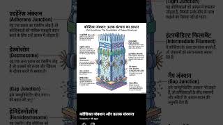 cell junction #bioworld #facts #bsc #biology #viral #viralvideos #viralvideo #education #science