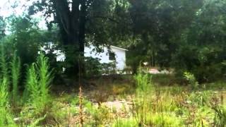 124 Minnies Ln video tour