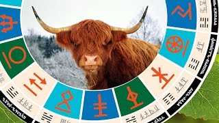 Видео Славянский гороскоп - чертог тура с 14 апреля по 7 мая (автор: Летопись Мидгард земли)