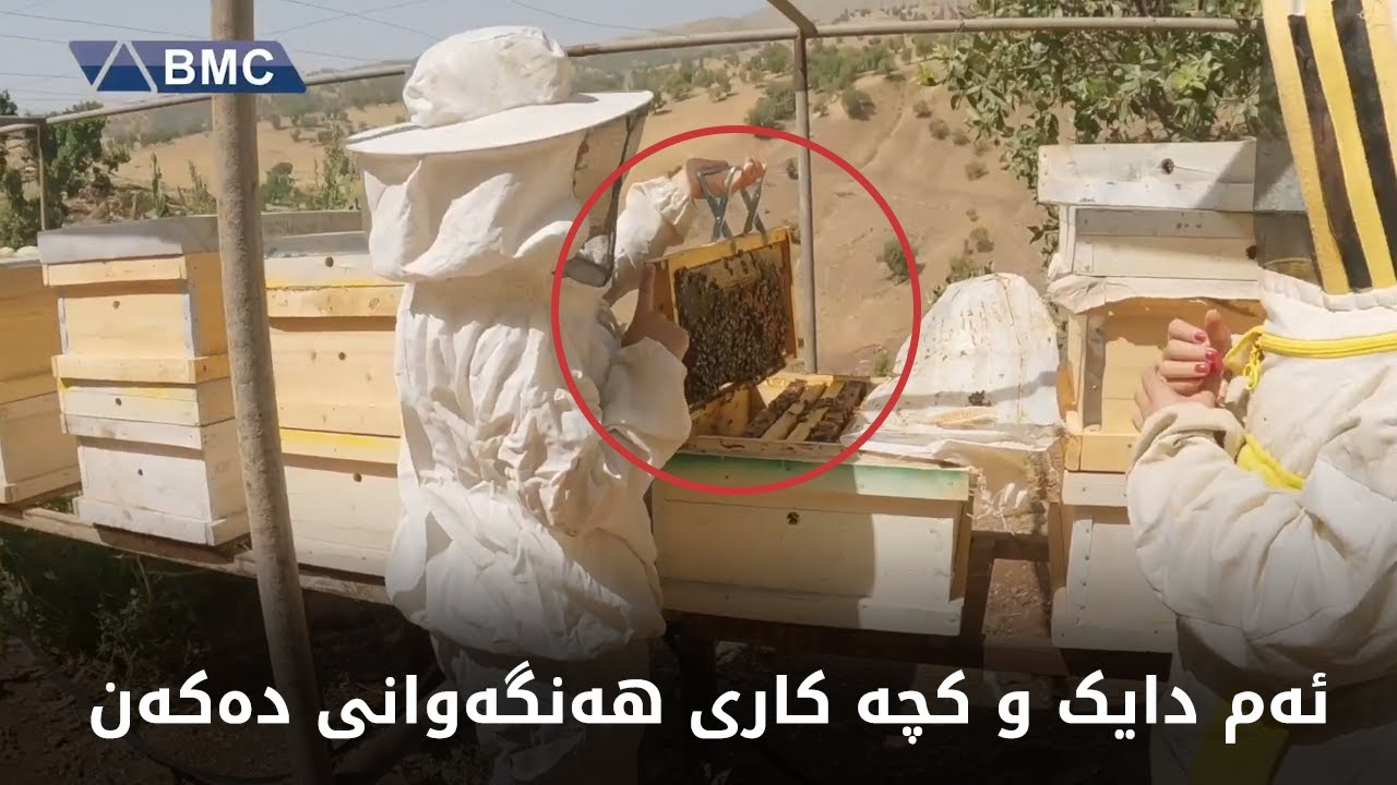 چیرۆکی ئەو دایک و کچەی هەنگ بەخێودەکەن